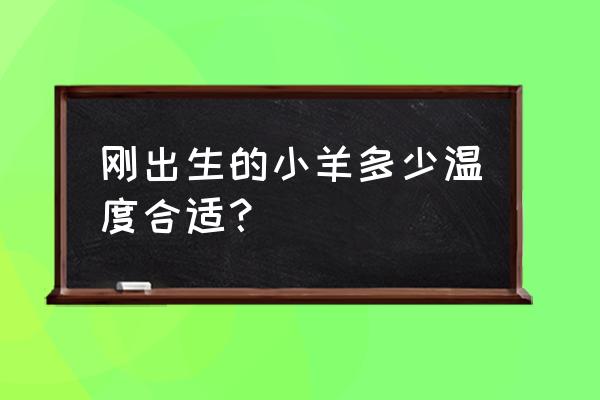 冬天零下五六度小羊羔能不能冻死 刚出生的小羊多少温度合适？