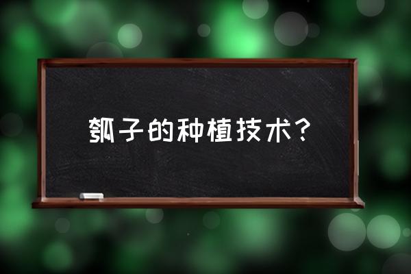 一般人不知道的种植小技巧 瓠子的种植技术？