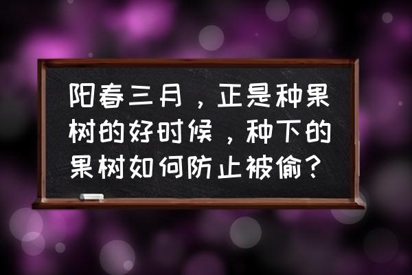 防止树苗被偷有什么妙招 阳春三月，正是种果树的好时候，种下的果树如何防止被偷？