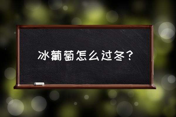 冬天买的葡萄怎么洗 冰葡萄怎么过冬？