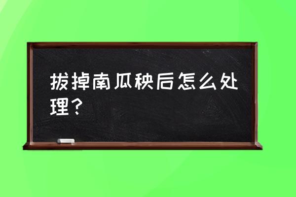 南瓜秧子的嫩芽怎么样吃 拔掉南瓜秧后怎么处理？