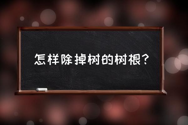 锯掉的树如何让树根快速腐烂 怎样除掉树的树根？