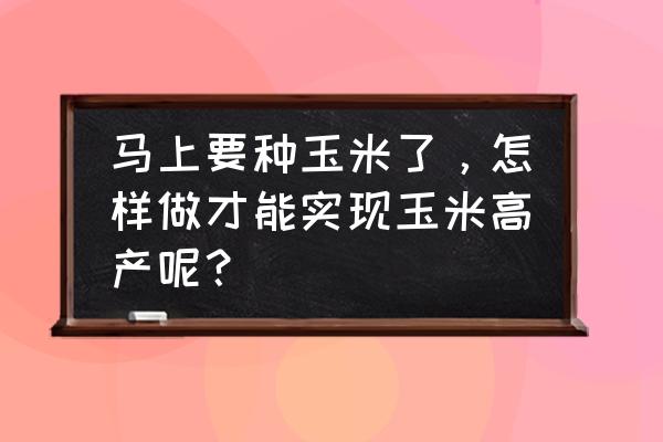 怎样挑选合适的玉米 马上要种玉米了，怎样做才能实现玉米高产呢？