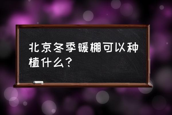 暖棚夏黄瓜高产栽培技术 北京冬季暖棚可以种植什么？