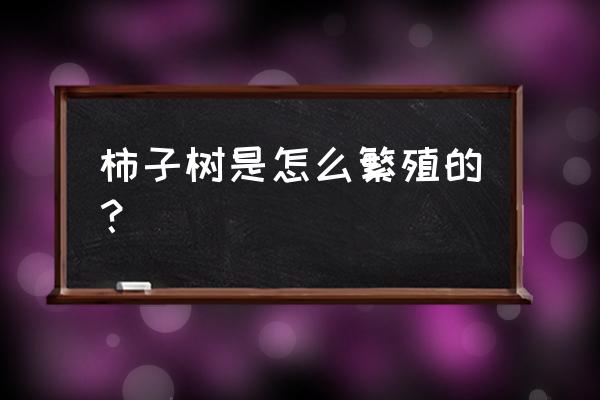 柿子树是怎样繁殖的 柿子树是怎么繁殖的？