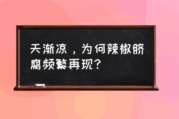 中医肚脐周边发黑是什么问题 天渐凉，为何辣椒脐腐频繁再现？