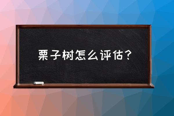 栗子树苗出售 栗子树怎么评估？