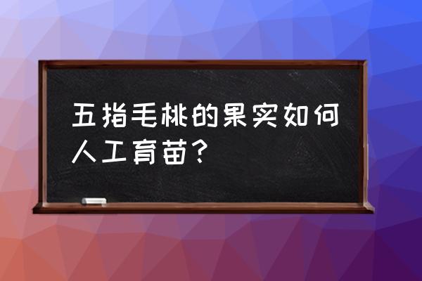 毛桃种子快速催芽 五指毛桃的果实如何人工育苗？