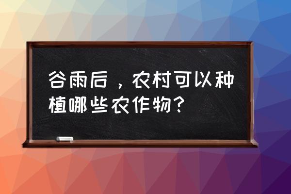 谷雨有什么注意事项和禁忌 谷雨后，农村可以种植哪些农作物？