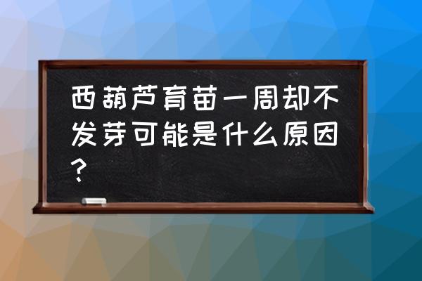 西葫芦烂籽是种子的原因吗 西葫芦育苗一周却不发芽可能是什么原因？