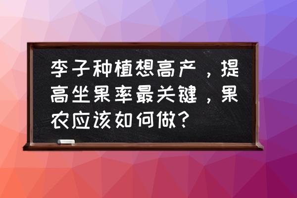 最新桃树高产种植技术 李子种植想高产，提高坐果率最关键，果农应该如何做？