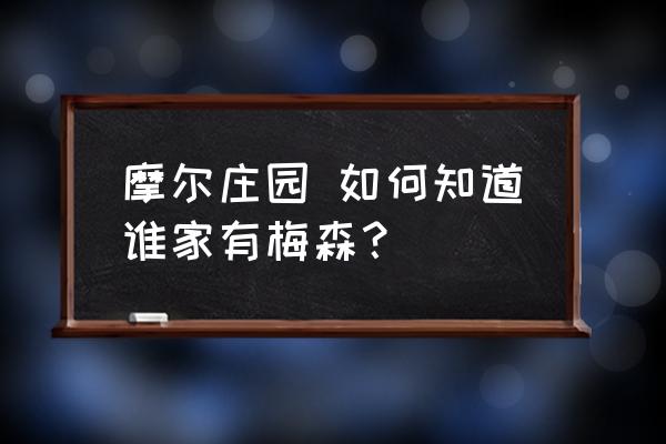 摩尔庄园手游怎么找到梅森 摩尔庄园 如何知道谁家有梅森？