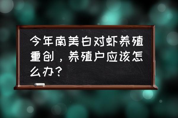 南美白对虾种虾温度升高了怎么办 今年南美白对虾养殖重创，养殖户应该怎么办？