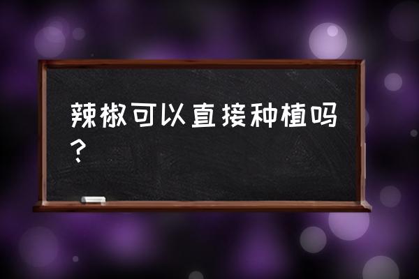 盆栽朝天椒快速长大技巧 辣椒可以直接种植吗？