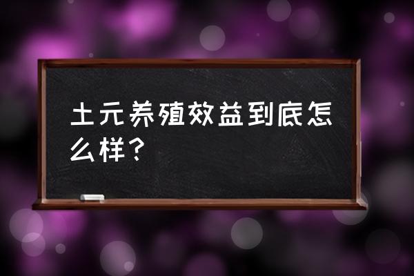 土元养殖回收的正规公司有哪些 土元养殖效益到底怎么样？