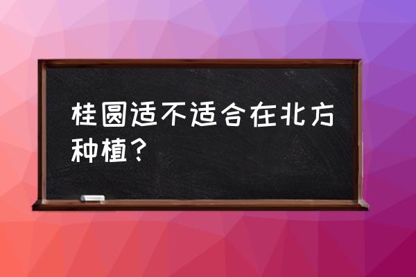 北方12月有什么水果 桂圆适不适合在北方种植？