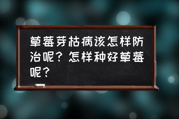 草莓现蕾期怎么处理 草莓芽枯病该怎样防治呢？怎样种好草莓呢？