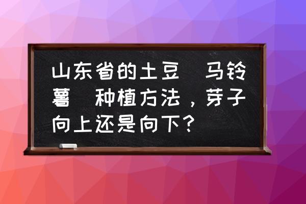 种土豆的步骤图示 山东省的土豆（马铃薯）种植方法，芽子向上还是向下？