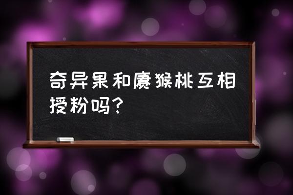 弥猴桃互相授粉可以结果吗 奇异果和猕猴桃互相授粉吗？