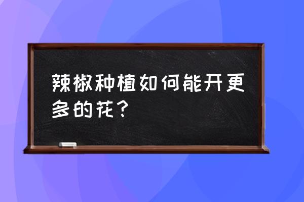 辣椒苗生长最好的方法 辣椒种植如何能开更多的花？