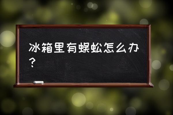 蜈蚣养殖大棚建造 冰箱里有蜈蚣怎么办？