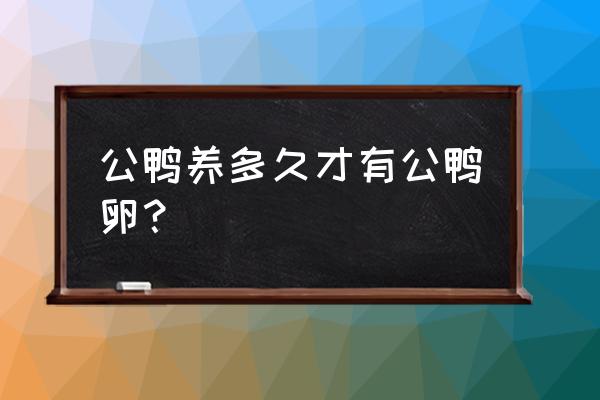 蛋鸭吃什么下蛋最快 公鸭养多久才有公鸭卵？