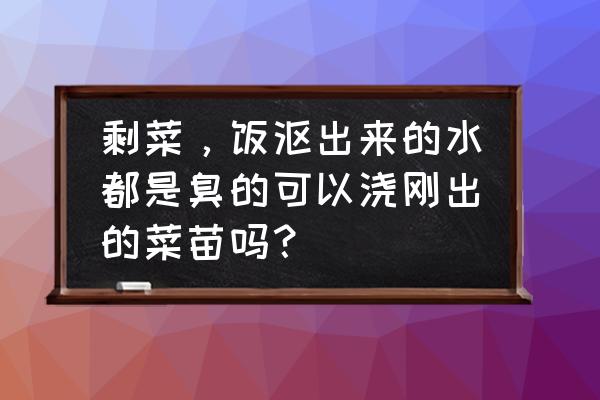 沤肥水一年了还是臭怎么解决 剩菜，饭沤出来的水都是臭的可以浇刚出的菜苗吗？