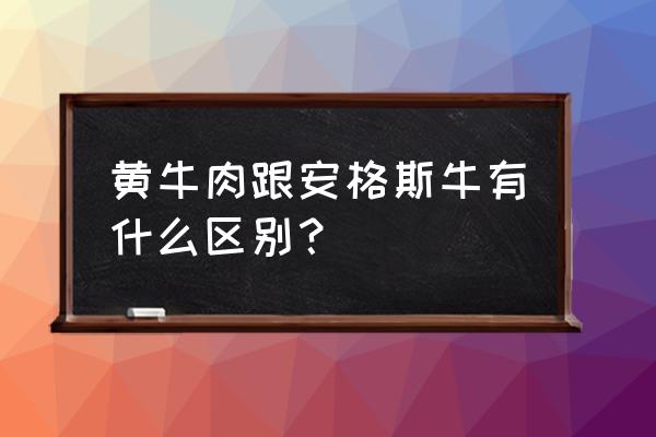 安格斯牛肉派的做法 黄牛肉跟安格斯牛有什么区别？