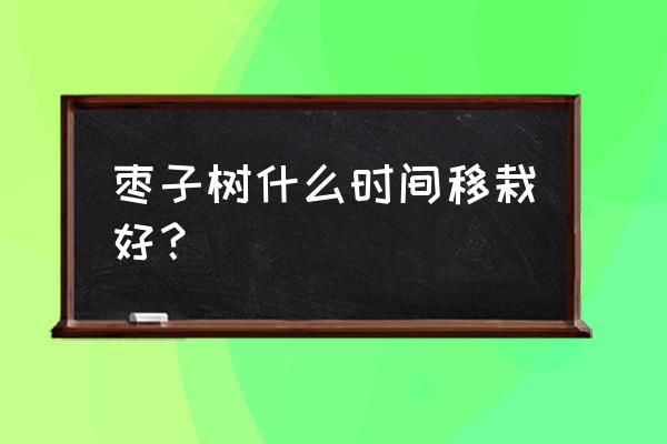 冬枣种植最佳时间 枣子树什么时间移栽好？