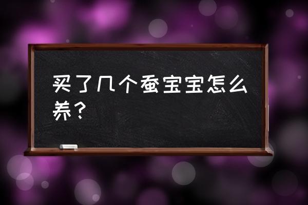 大蚕怎么养才正确 买了几个蚕宝宝怎么养？