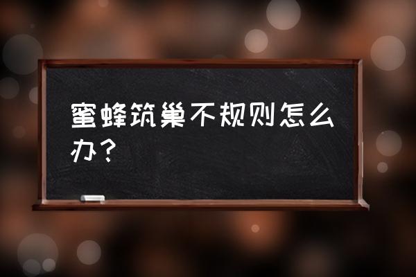 养蜂的问题及解决办法 蜜蜂筑巢不规则怎么办？