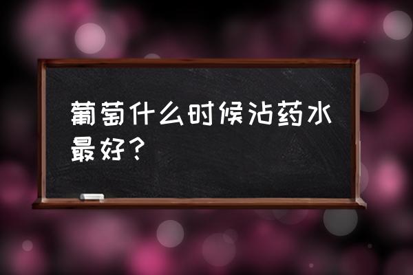 葡萄最佳套袋时间是什么时候 葡萄什么时候沾药水最好？