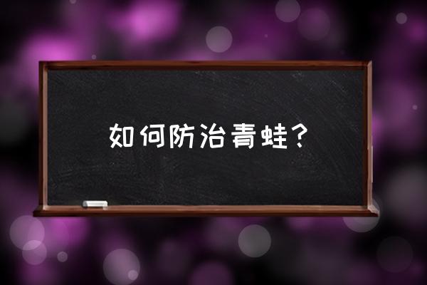 青蛙养殖的正确方法 如何防治青蛙？