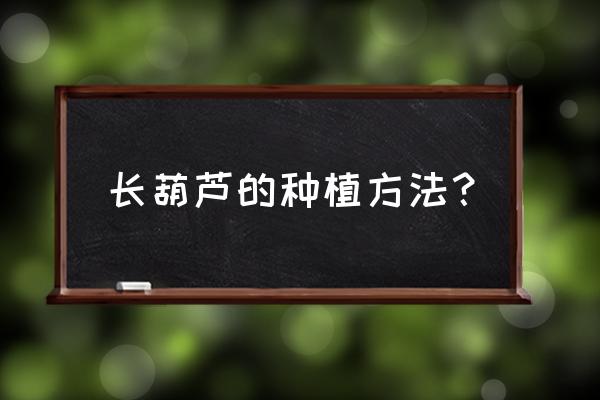 种葫芦教程 长葫芦的种植方法？