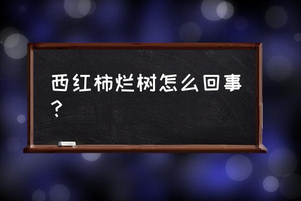 番茄枯萎病最佳防治方法 西红柿烂树怎么回事？