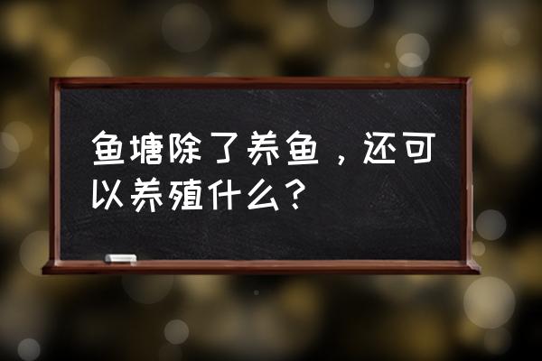 未来养殖什么动物比较赚钱 鱼塘除了养鱼，还可以养殖什么？