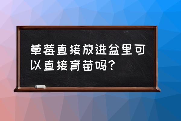 草莓种子取下来可以立马种吗 草莓直接放进盆里可以直接育苗吗？