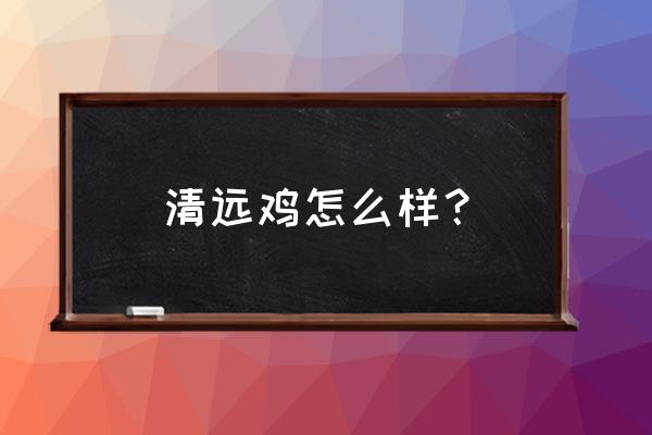 京东养鸡入口 清远鸡怎么样？