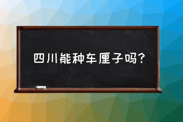 汶川车厘子的正宗做法 四川能种车厘子吗？