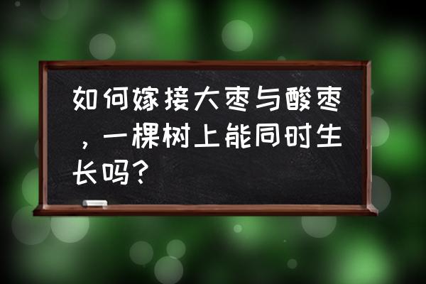 嫁接树木最快的方法 如何嫁接大枣与酸枣，一棵树上能同时生长吗？