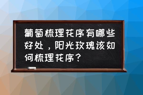 阳光玫瑰花序少了怎么补救 葡萄梳理花序有哪些好处，阳光玫瑰该如何梳理花序？