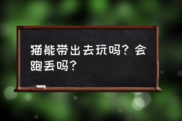 第五人格不登录可以玩游戏吗 猫能带出去玩吗？会跑丢吗？