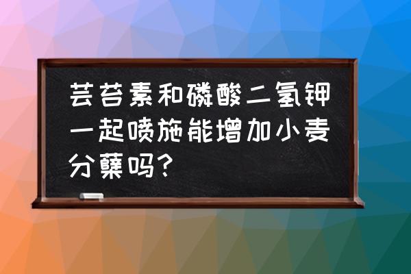 芸苔素加磷酸二氢钾 芸苔素和磷酸二氢钾一起喷施能增加小麦分蘖吗？