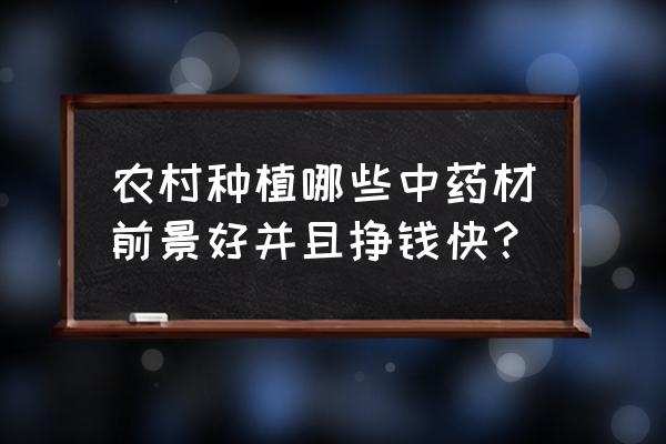 种植什么药材周期短利润高 农村种植哪些中药材前景好并且挣钱快？