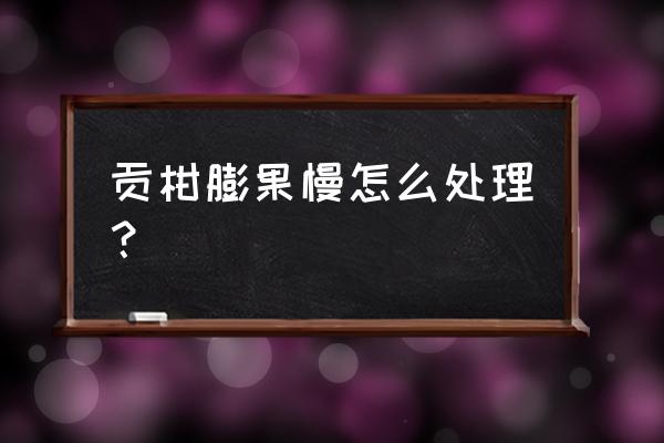 柑橘疏果撑果技术你都掌握了吗 贡柑膨果慢怎么处理？