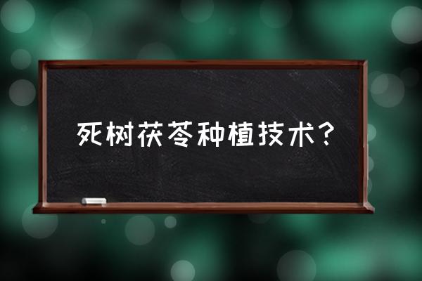 茯苓最新栽培方法 死树茯苓种植技术？