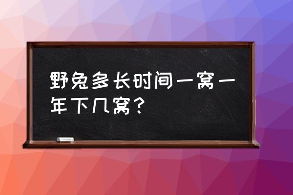 野兔的销路怎样 野兔多长时间一窝一年下几窝？