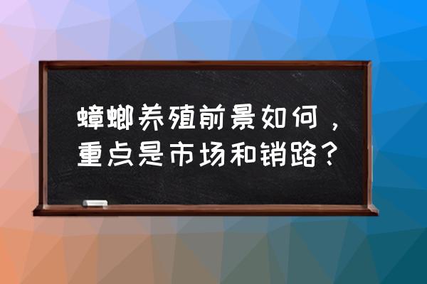 未来十年养殖业什么前景最好 蟑螂养殖前景如何，重点是市场和销路？