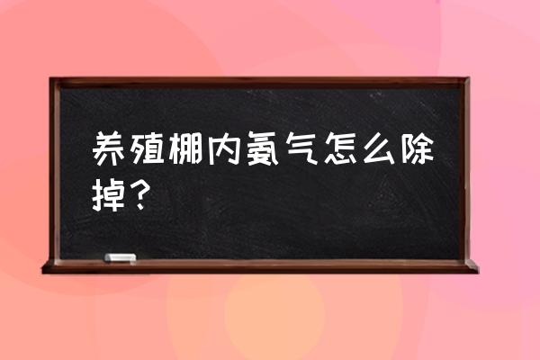 养殖场的氨气怎么处理 养殖棚内氨气怎么除掉？