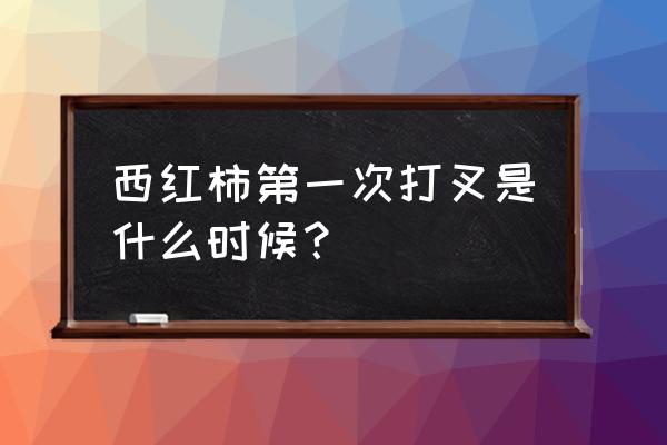 西红柿要二次打叉吗 西红柿第一次打叉是什么时候？